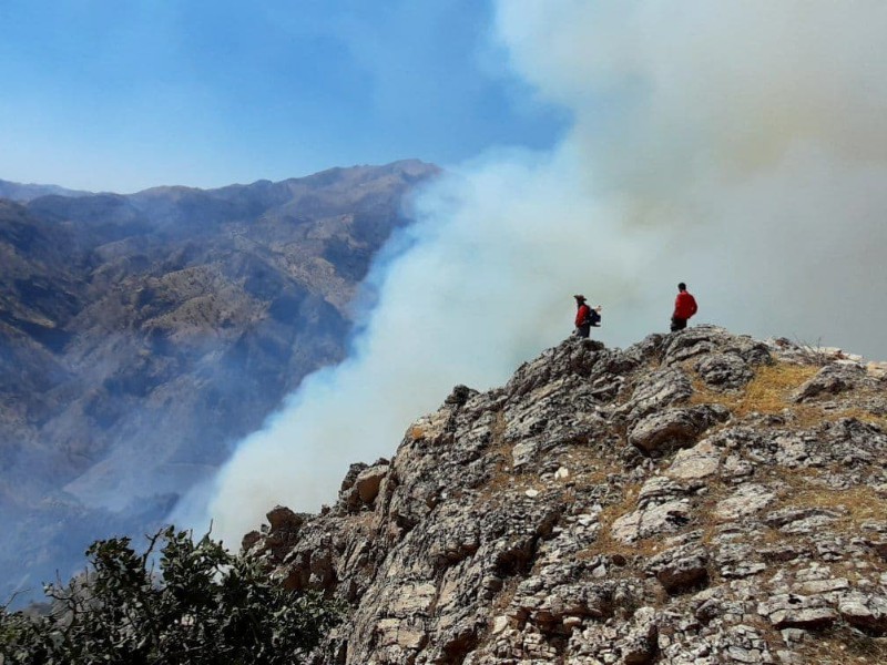 هشدار اداره منابع طبیعی و آبخیزداری در باره خطر آتش سوزی جنگل‌ها و مراتع در پی افزایش دما در روزهای آتی