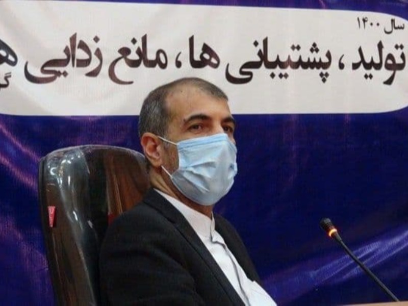 برای تنظیم بهتر بازار در پاوه ما نیازمند ایجاد بازار روز هستیم