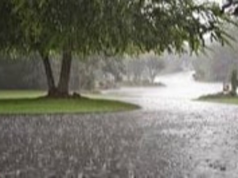 پاوه با ۴دهم میلیمتر کم بارش ترین نقطه استان در ۲۴ ساعت گذشته/بارش 10 سانتیمتری برف در ارتفاعات پاوه با ۴دهم میلیمتر کم بارش ترین نقطه استان در ۲۴ ساعت گذشته/بارش 10 سانتیمتری برف در ارتفاعات