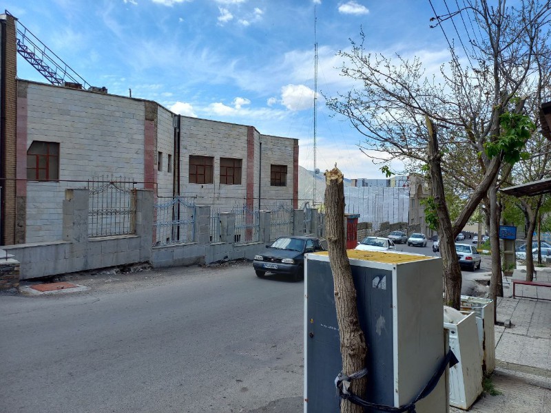 مجازات برای قاتلان اشجار و از بین بردن فضای سبز