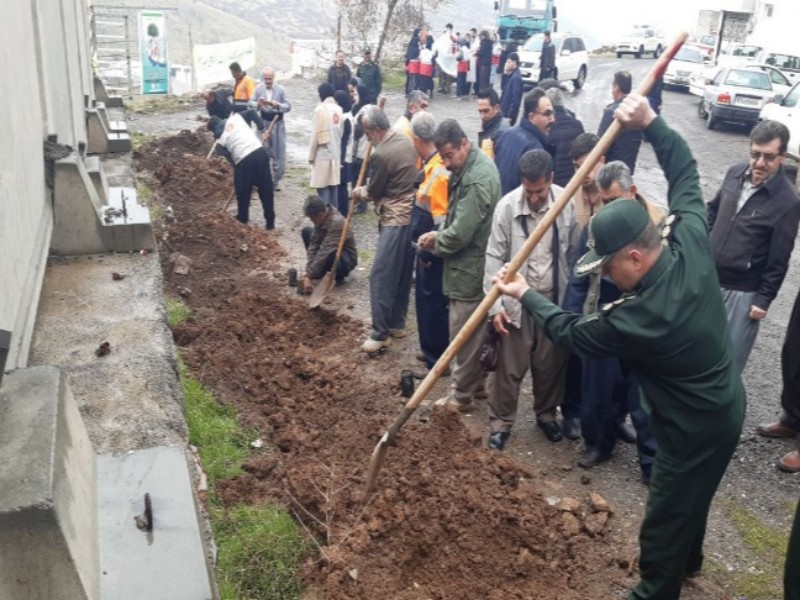 کاشت بیش از 50 هزار نهال در هفته منابع طبیعی در شهرستان پاوه