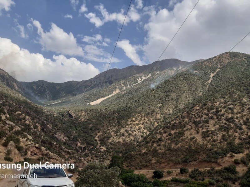 بخش عظیمی از اتش سوزی مراتع و جنگلهای مرخیل خاموش شد