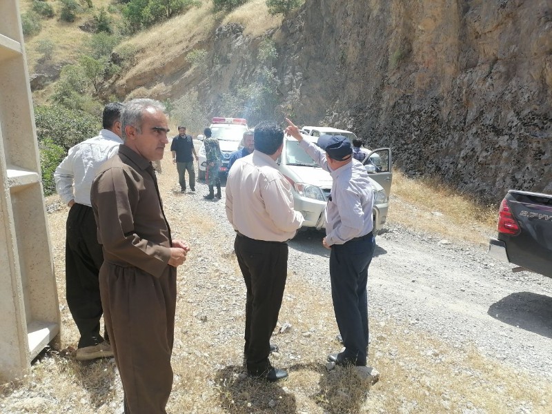 خسارت اتش سوزی به گیاهان یکساله بوده است