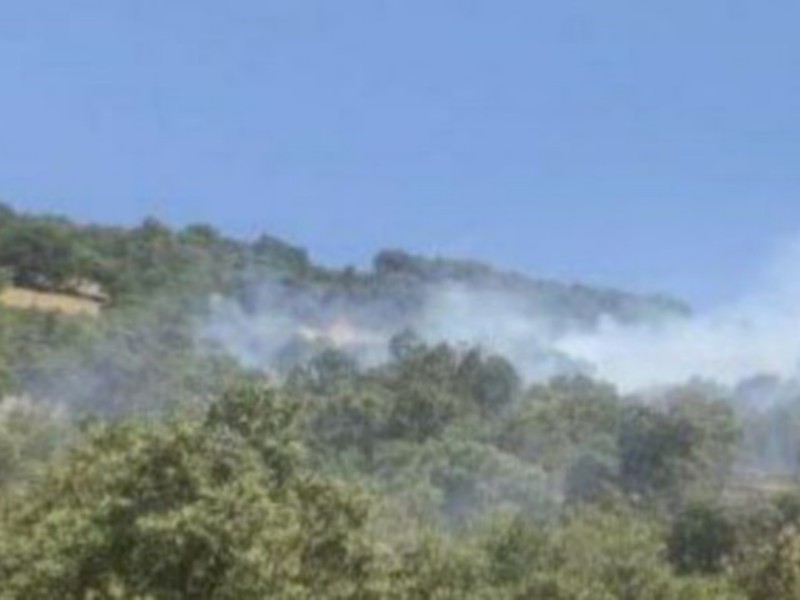 وقوع آتش سوزی در مراتع شوشمی پاوه