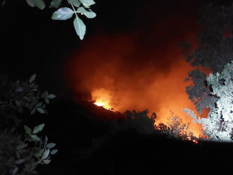 آتش سوزی مراتع دوریسان پاوه مهار شد