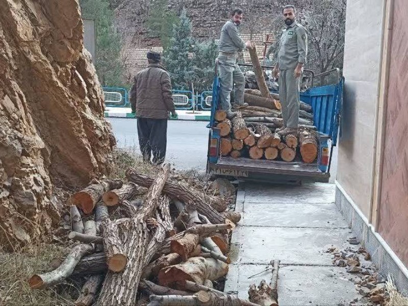 عامل قطع درختان بوزین و مرخیل دستگیر شد