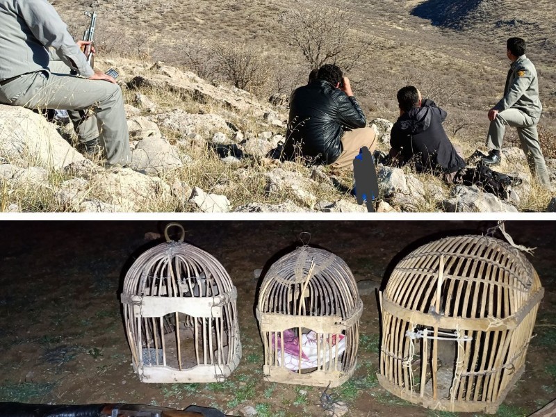دستگیری ۲ اکیپ شکارچی غیرمجاز در روانسر