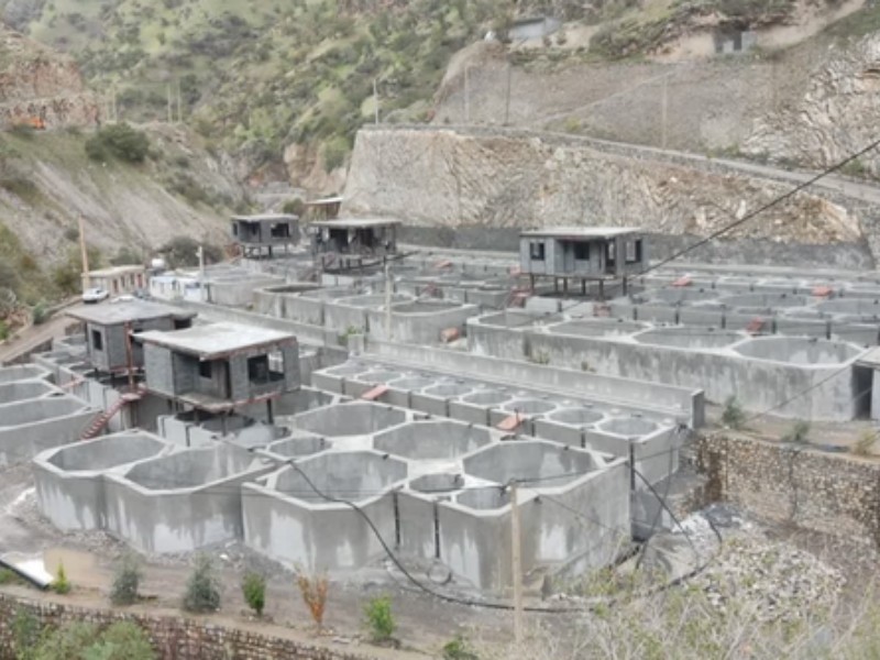 رشد ۲۳۰۰ برابری تولید آبزیان در کرمانشاه پس‌از انقلاب