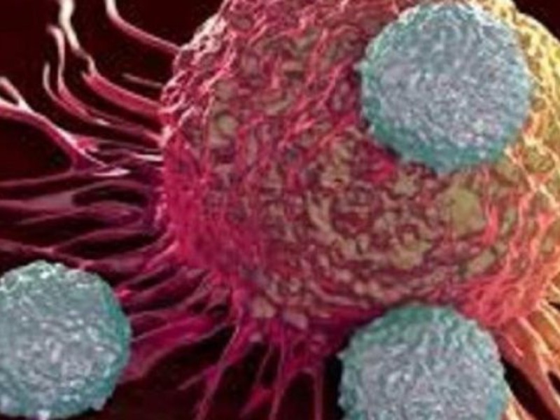 سرطان در مردان بیشتر از زنان است