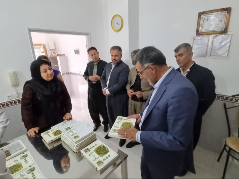 شیرینی "کوته" می تواند جایگاه کشوری پیدا کند شیرینی "کوته" می تواند جایگاه کشوری پیدا کند