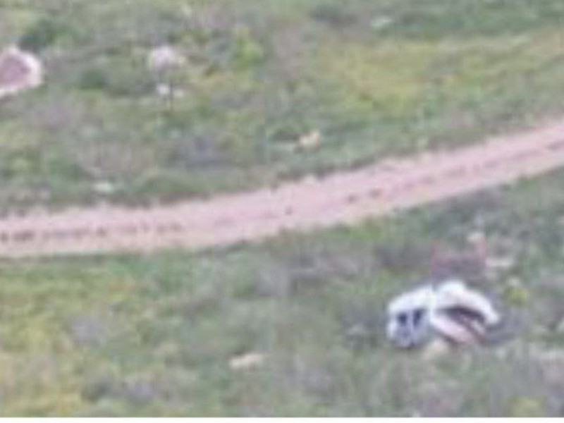 حادثه رانندگی مرگبار با ۲ کشته در محور پاوه به مریوان