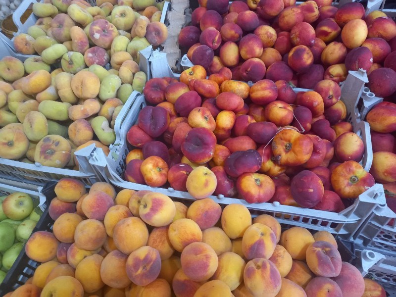 تشکیل 5فقره پرونده تخلف  دربازدیداز واحد های صنفی  میوه فروشی وبزازان سطح شهرپاوه