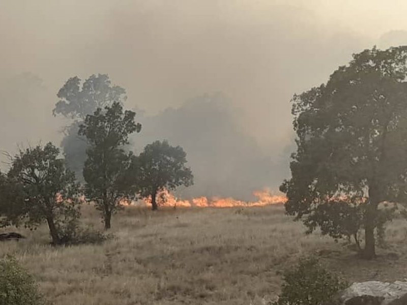 10 هکتار از مراتع و جنگلهای بوزین و مرخیل پاوه در آتش سوخت