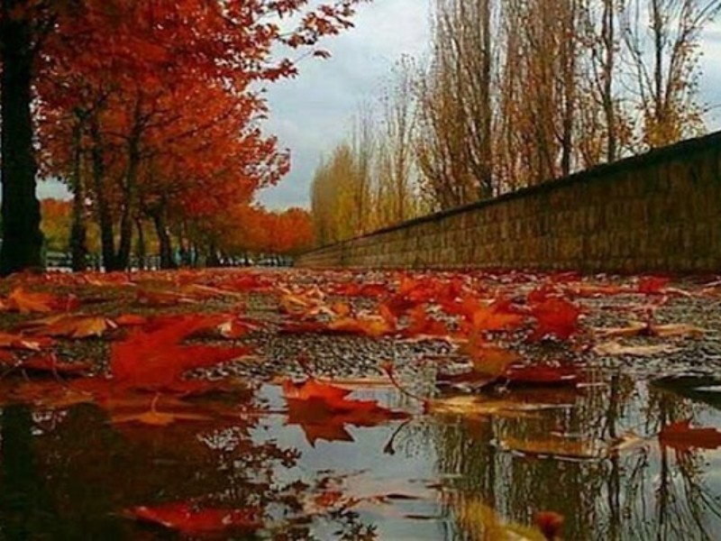 آمادهباش در کرمانشاه برای بارندگی آمادهباش در کرمانشاه برای بارندگی