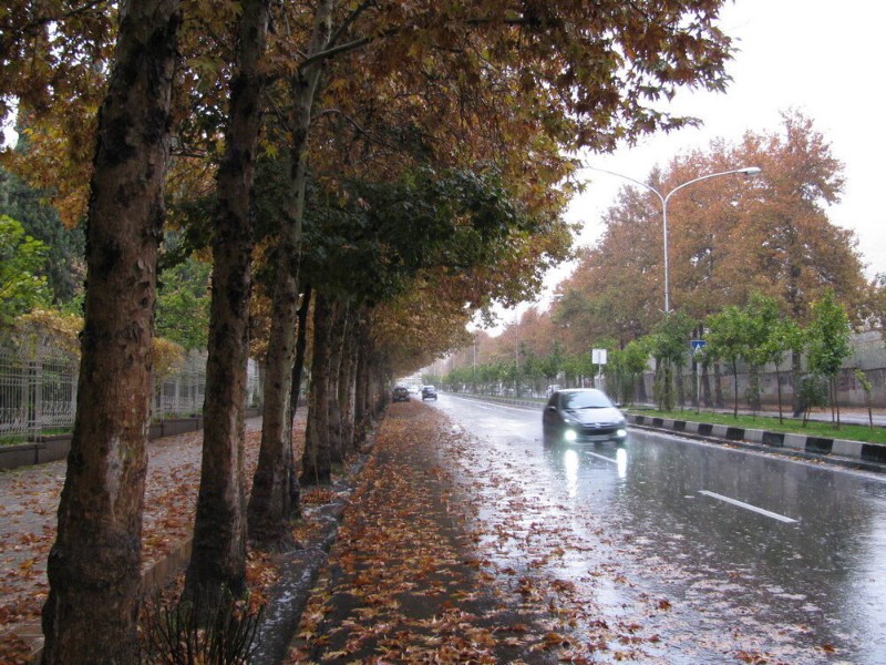 سرپلذهاب با ۴۹ میلیمتر، رکورددار بیشترین میزان بارندگی در کرمانشاه سرپلذهاب با ۴۹ میلیمتر، رکورددار بیشترین میزان بارندگی در کرمانشاه