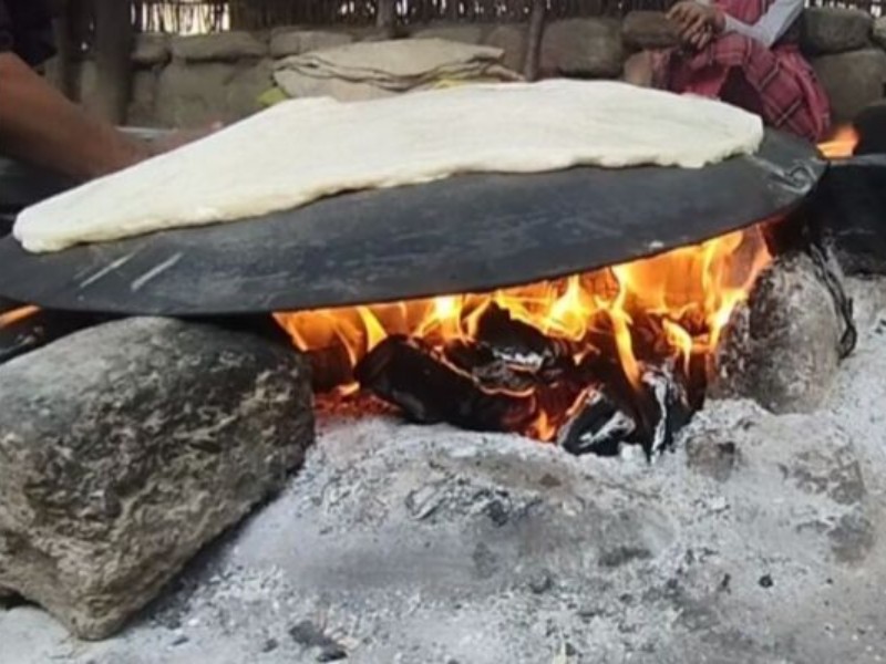 ساج؛ میراثی در معرض فراموشی