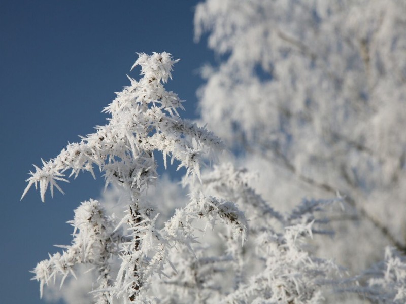 تداوم جبهه هوای سرد تا روز سه شنبه؛ ثبت دمای زیر صفر در ۱۹ منطقه کرمانشاه