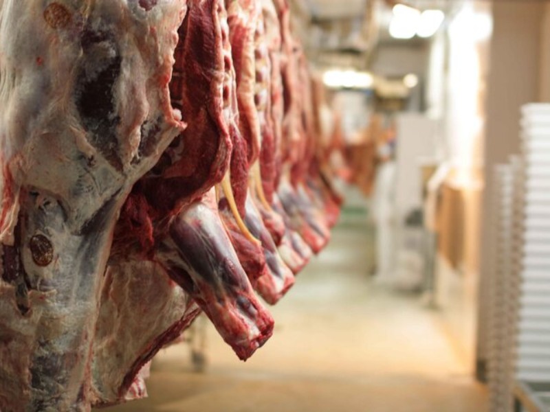 نظارتهای بهداشتی بر کشتارگاه دام پاوه تشدید شد نظارتهای بهداشتی بر کشتارگاه دام پاوه تشدید شد