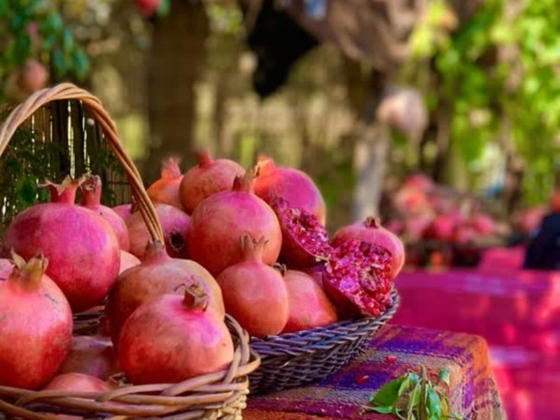 جشن بزرگ انار در روستای ساتیاری پاوه برگزار می‌شود