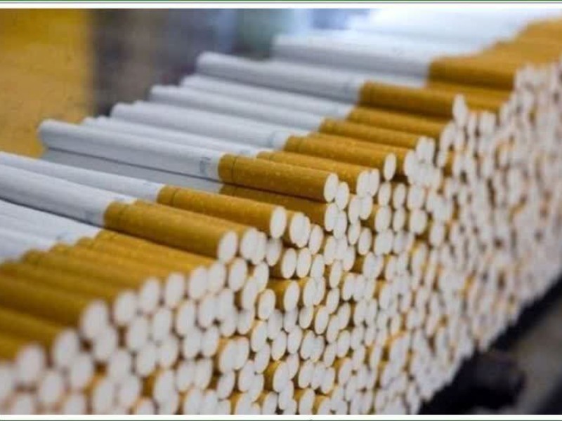 کشف بیش از ۵۱۴ هزار نخ سیگار قاچاق در پاوه کشف بیش از ۵۱۴ هزار نخ سیگار قاچاق در پاوه