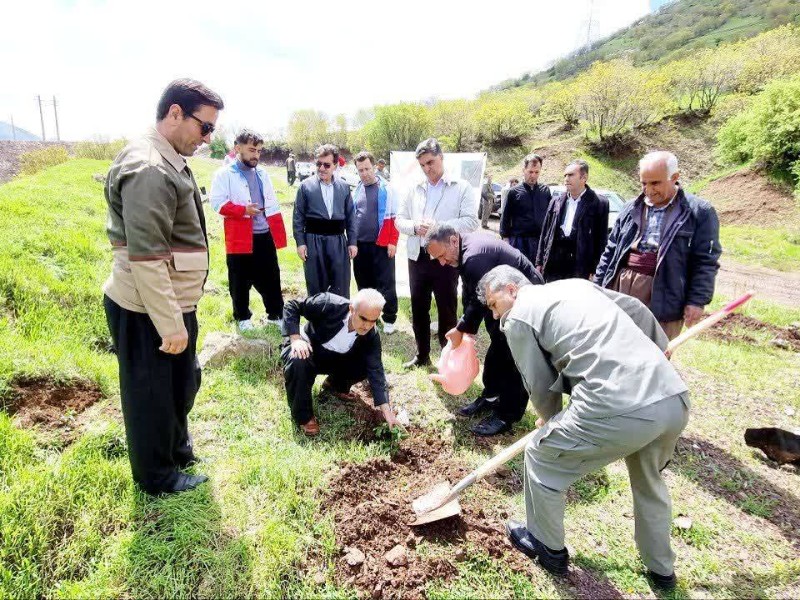 نمادسازی مقاومت با کاشت ۱۰۰ اصله نهال در پاوه ‌