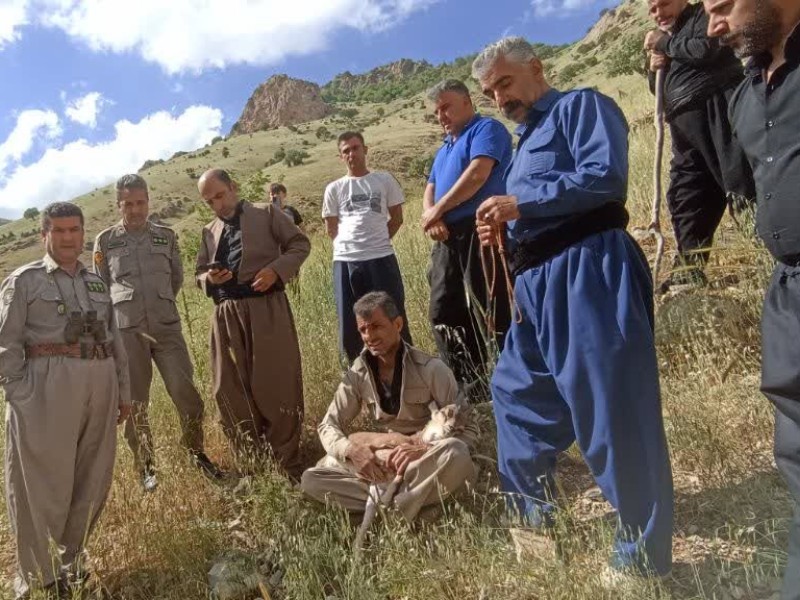 رهاسازی یک رأس کلچه پس از بهبودی کامل در زیستگاه باینگان