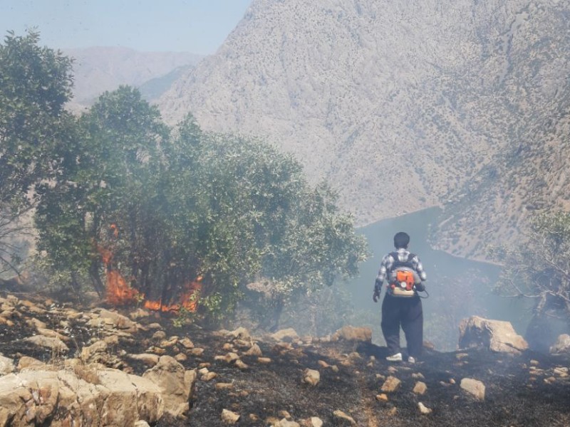 مهار آتش‌سوزی مراتع روستای هجیج پاوه