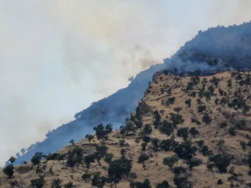 مهار آتشسوزی در مراتع «شیخان» پاوه/ ۳۰ هکتار در آتش سوخت مهار آتشسوزی در مراتع «شیخان» پاوه/ ۳۰ هکتار در آتش سوخت